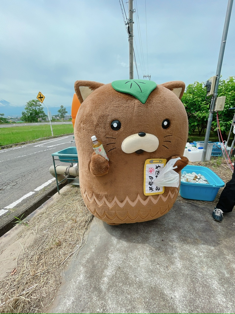 2023/05/26の写真
