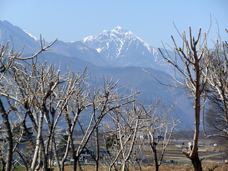 2011/04/06の写真