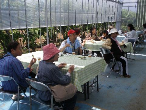 2011/06/04の写真