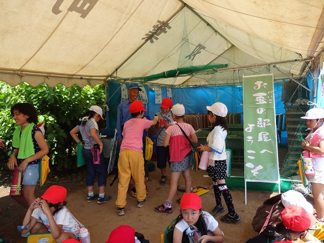 2015/06/10の写真